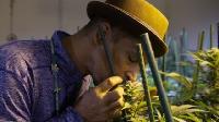 The Business Of Drugs